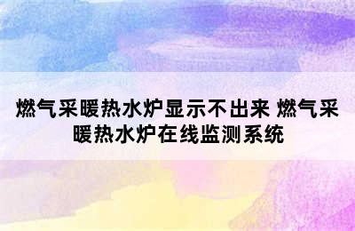 燃气采暖热水炉显示不出来 燃气采暖热水炉在线监测系统